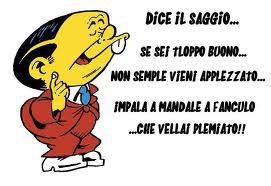 saggio cinese
