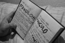 brachilogia
