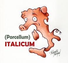 italicum roberto mangosi